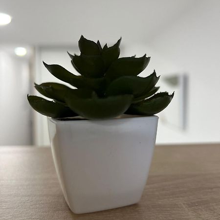 Appartement White House à Castellón de la Plana Extérieur photo